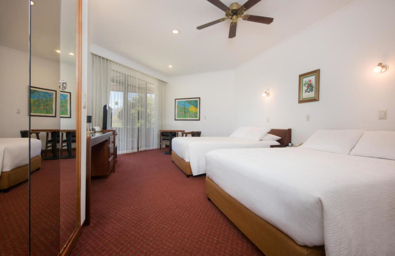 Guest room at Hotel Bougainvillea.