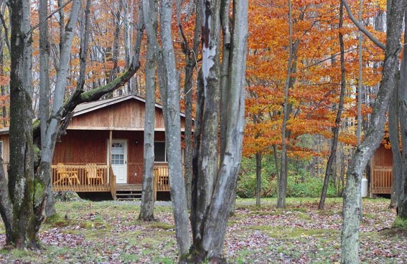 Exterior view of The Woods At Bear Creek Glamping Resort.