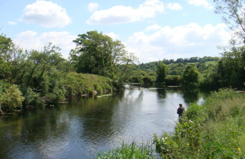 Fishing at Kilcoleman Fishery.