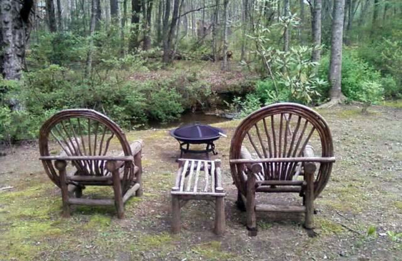 Relax by the fire pit at Black Bear Cabin Rentals.