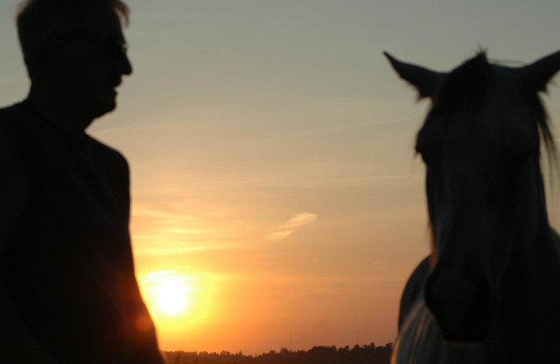 Sunset at Guggisberg Swiss Inn/Amish Country Riding Stables.