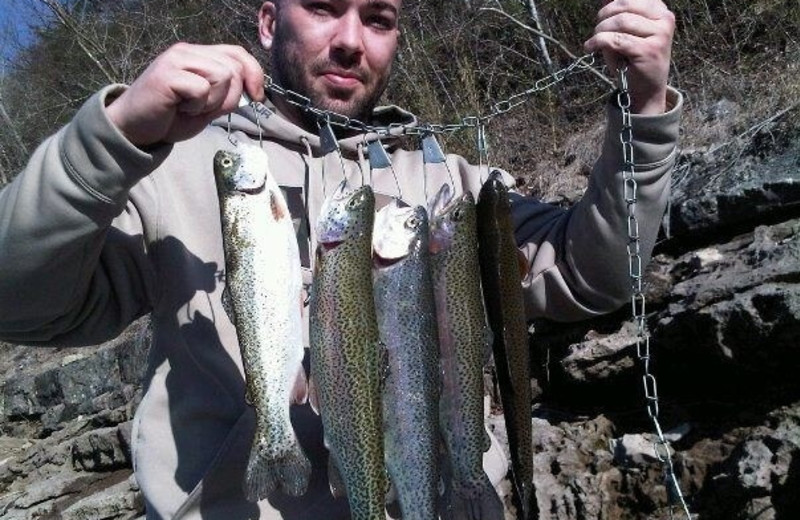 Catch Rainbow Trout at McWilliams River Home.