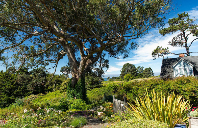 Gardens at Alegria Oceanfront Inn & Cottages.