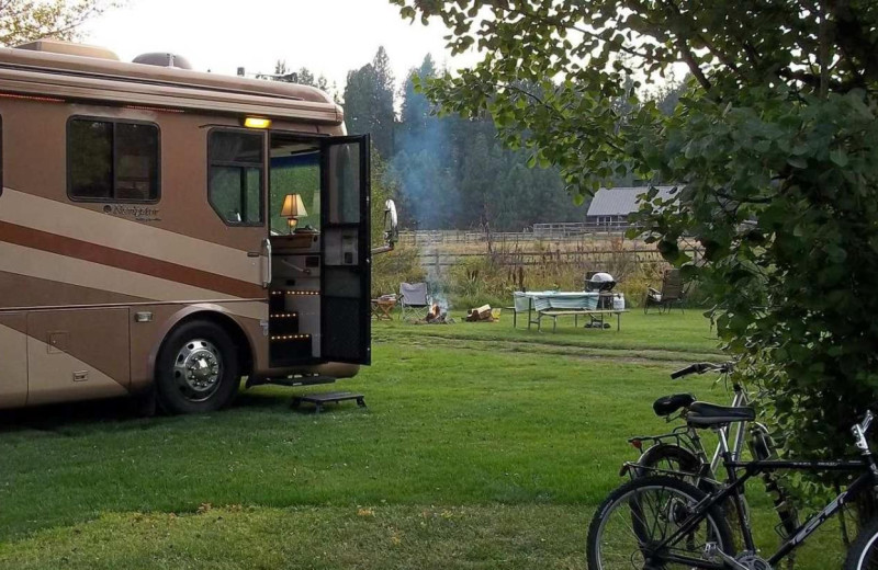 Campground at Cold Springs Resort.