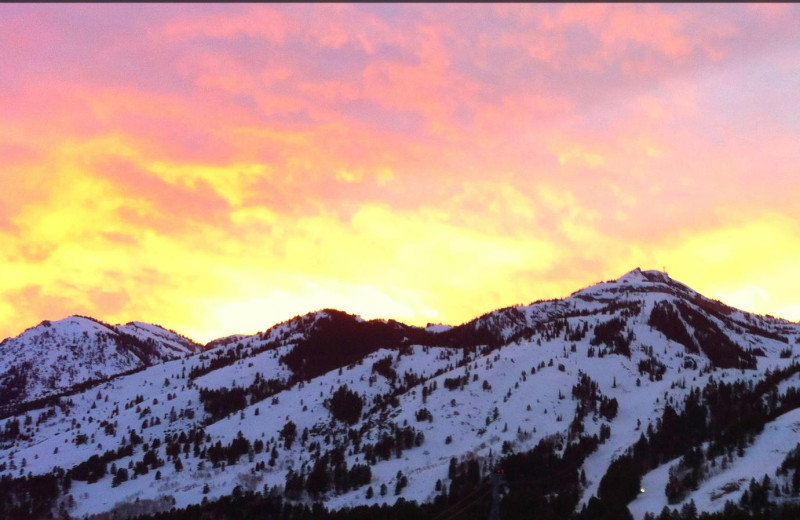 Mountains at Wyoming Inn of Jackson Hole.