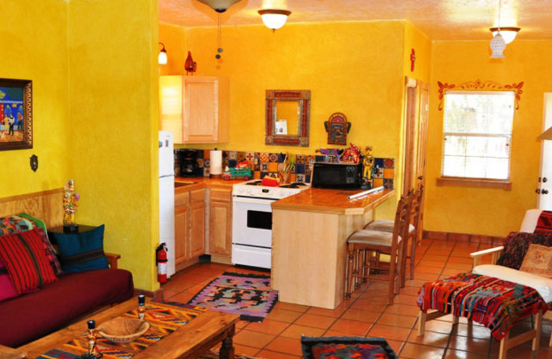 Cabin interior at Lost Parrot Cabins.