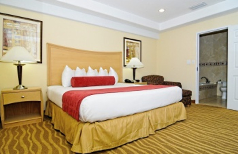 Guest Room at Best Western Plus