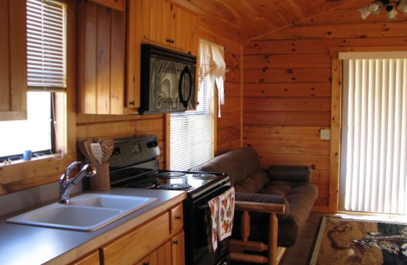 Cabin interior at Copperhead Lodge.