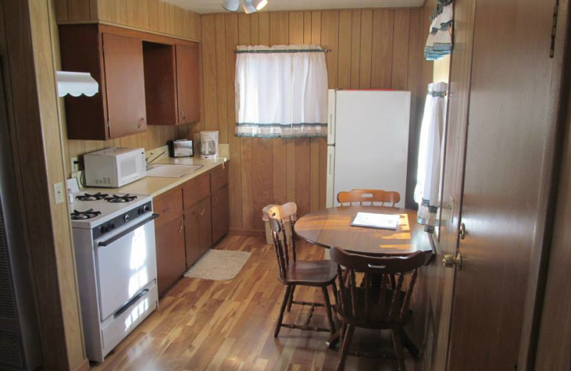 Cabin kitchen at Lazy Oaks Resort.