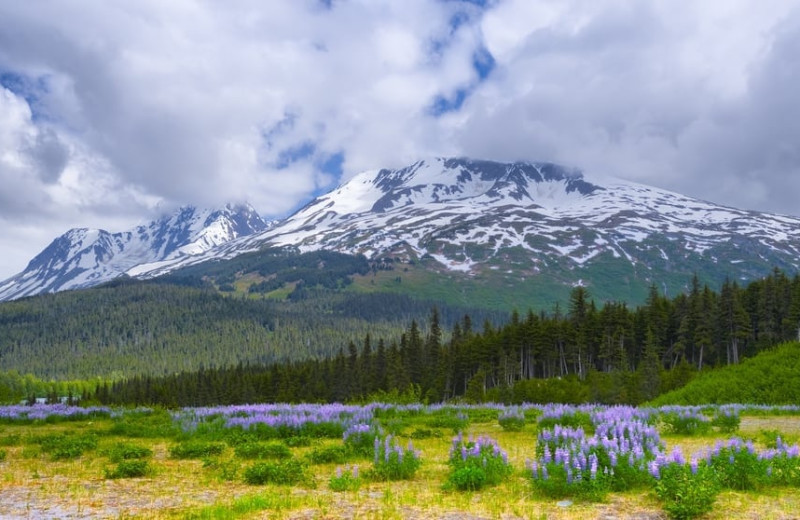 Mountains at Trail Lake Lodge.