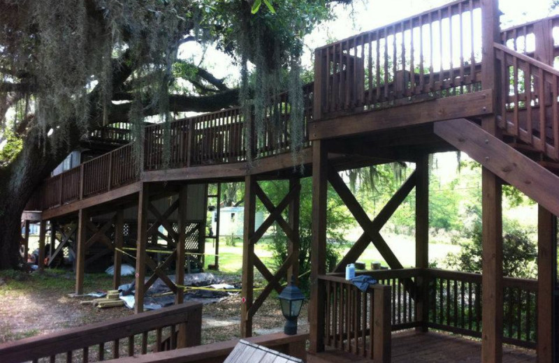Raised deck to tree house at Berry Creek, LLC.