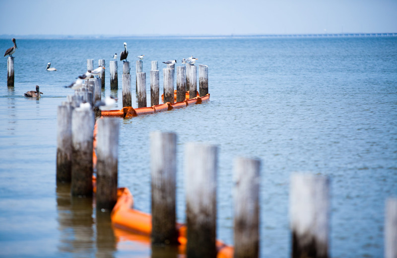Beach at Beachfront Rentals.