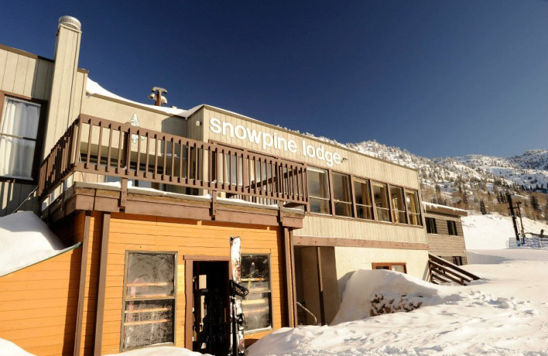 Exterior view of Snowpine Lodge.