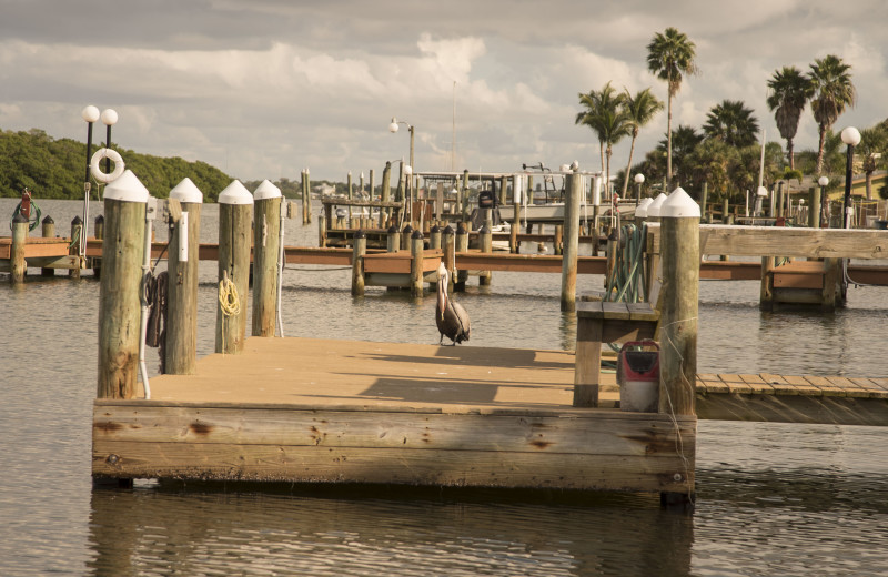 Docks at Englewood Beach & Yacht Club.