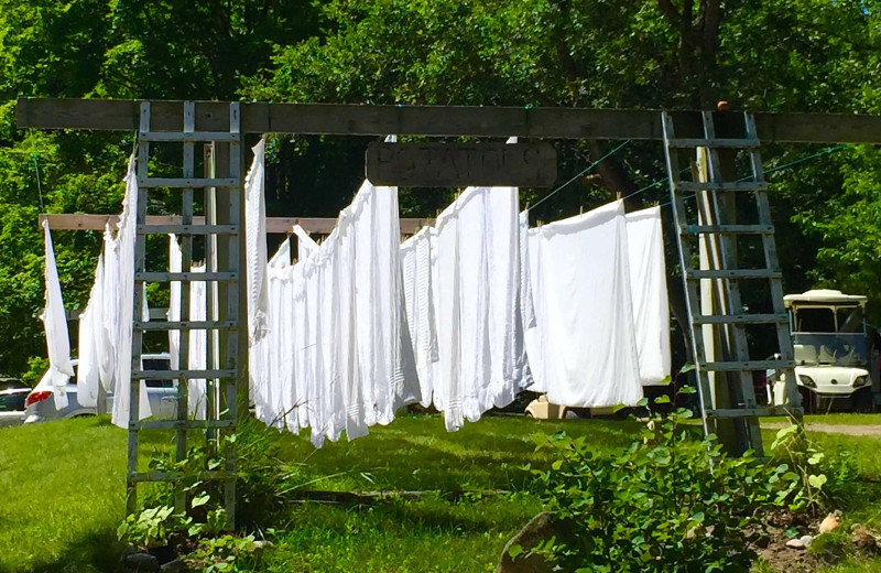 Sheets drying in the sun at Watervale Inn.