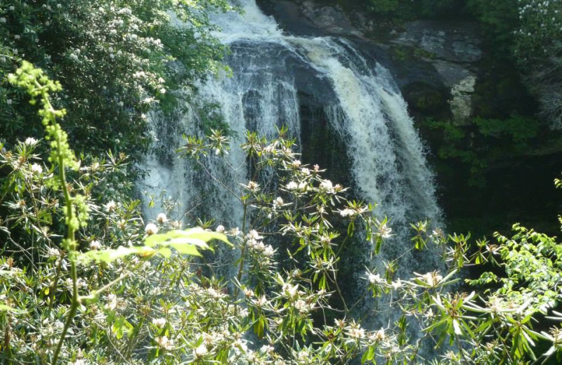 Waterfall at Mountain Rest Cabins and Campground.