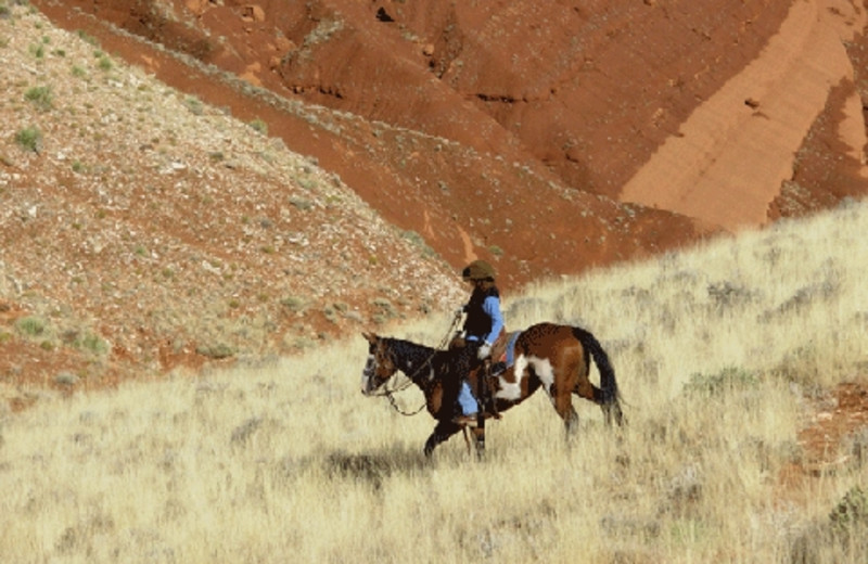 Horseback riding at The Hideout Lodge & Guest Ranch.