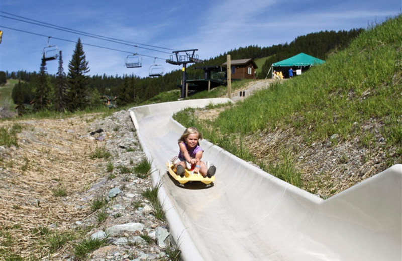 Alpine slide at Kandahar Lodge.