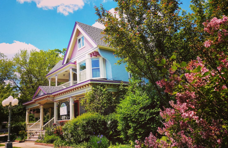 Exterior view of Blue Belle Inn Bed 