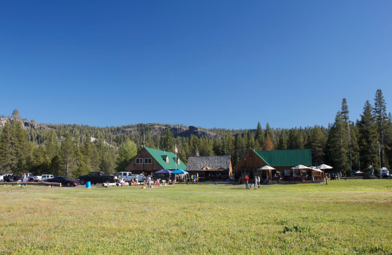 Exterior view of Plasse's Resort.