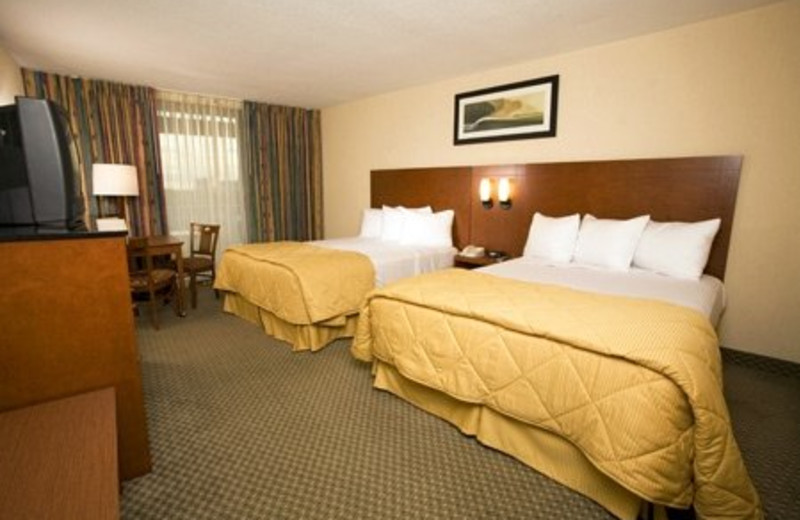 Two Queen Room at Best Western Lake Buena Vista