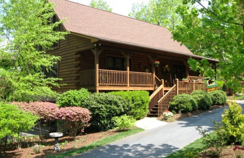 Cabin at Rumbling Bald Resort