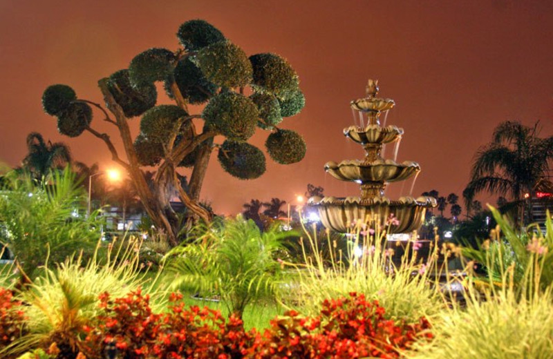 Garden at Ontario Airport Inn.