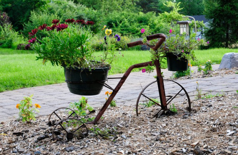 Garden view at Moondance Ridge Bed & Breakfast.