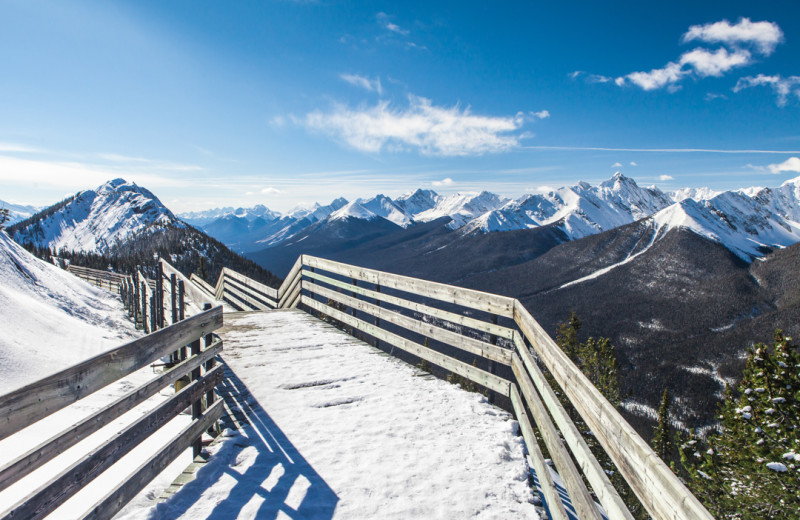 Scenic view near Banff Ptarmigan Inn.