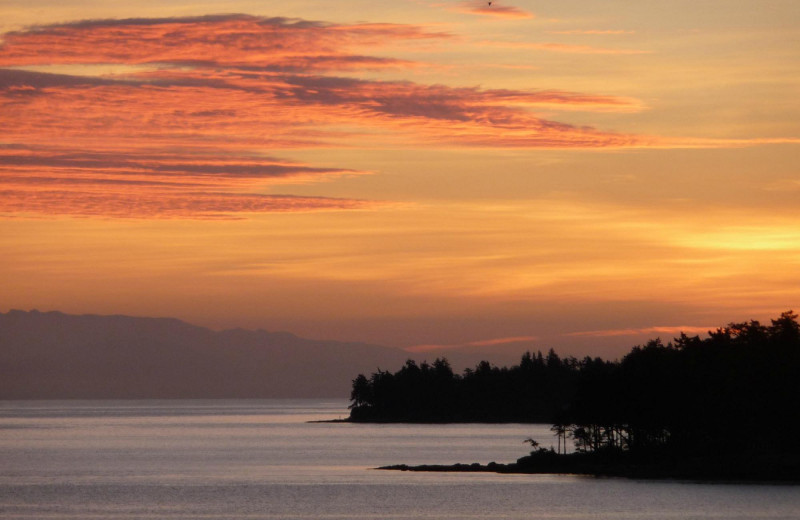 Beach at Madrona Beach Resort.