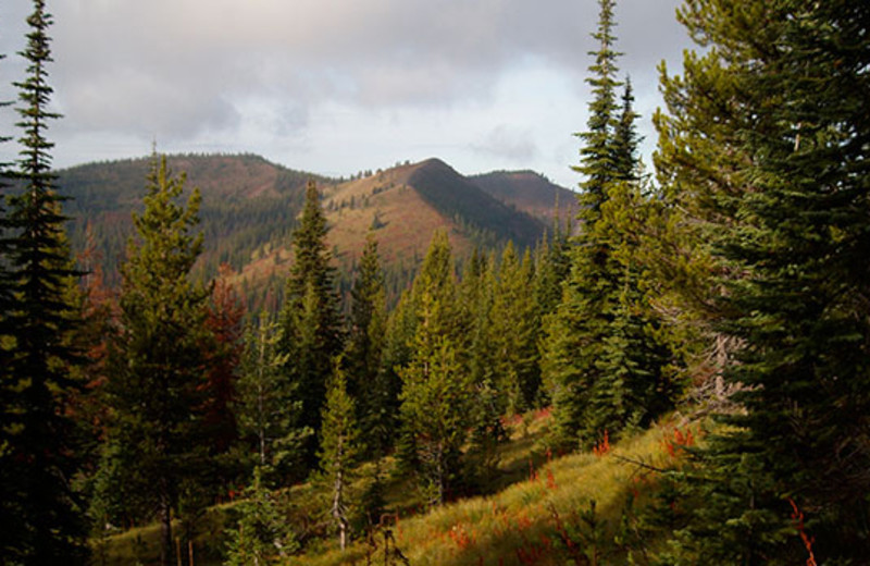 Scenic view at Montana River Lodge.