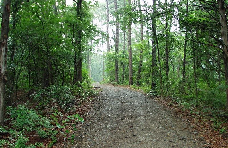 Trail at Miller Lake Retreat.