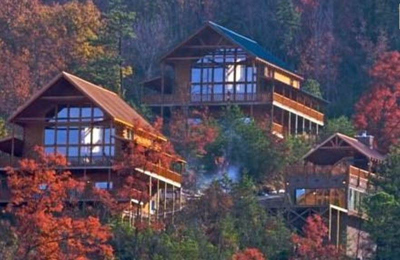 Cabins at The Cabin Rental Store.