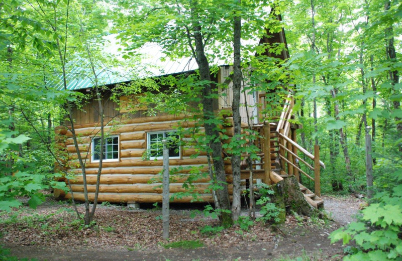 Cabin exterior at Wolf Den Hostel and Nature Retreat.