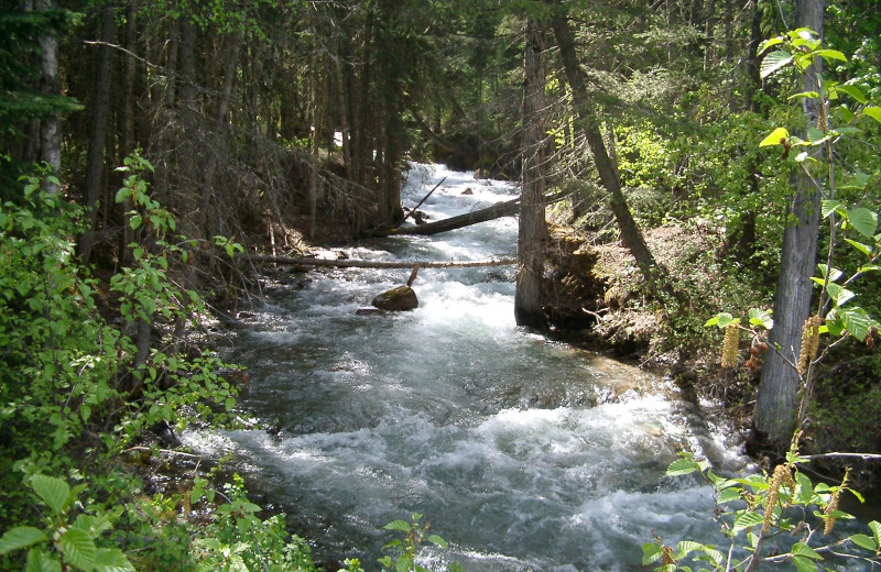 Stream at Izaak Walton Inn.