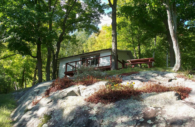 Cabin exterior view of Northern Lights Resort.