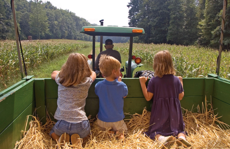 Hayrides at Tamarack Lodge.