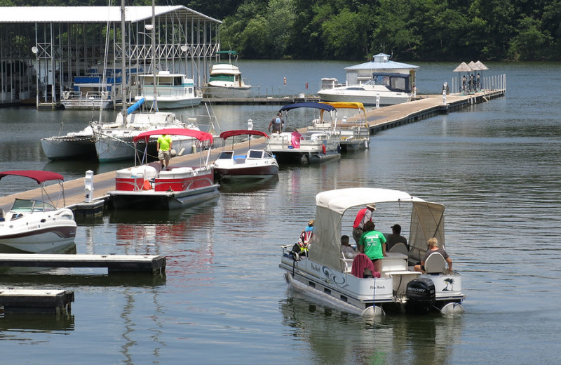 Fishing at Buzzard Rock Resort and Marina.