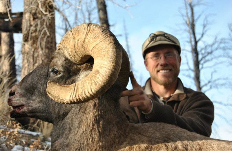 Ram hunting at Shoshone Lodge & Guest Ranch.