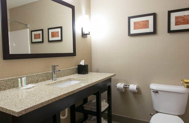 Guest bathroom at Comfort Suites Benton Harbor.