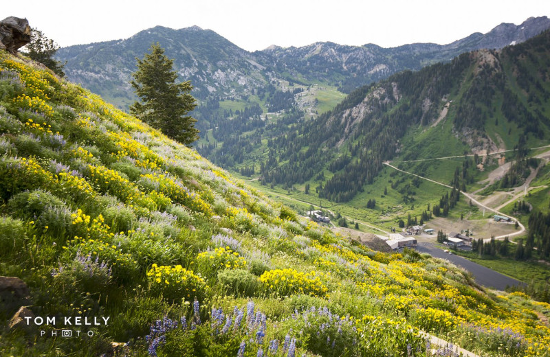Scenic mountain view at Canyon Services Vacation Rentals.