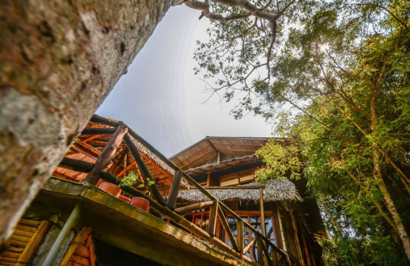 Exterior view of Finca Punta Ayampe Beach Ecolodge.