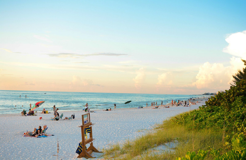 Beach at Cove Inn on Naples Bay.