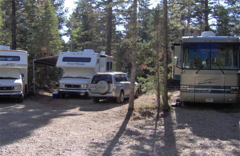 RV camp site at Pinewoods Resort.