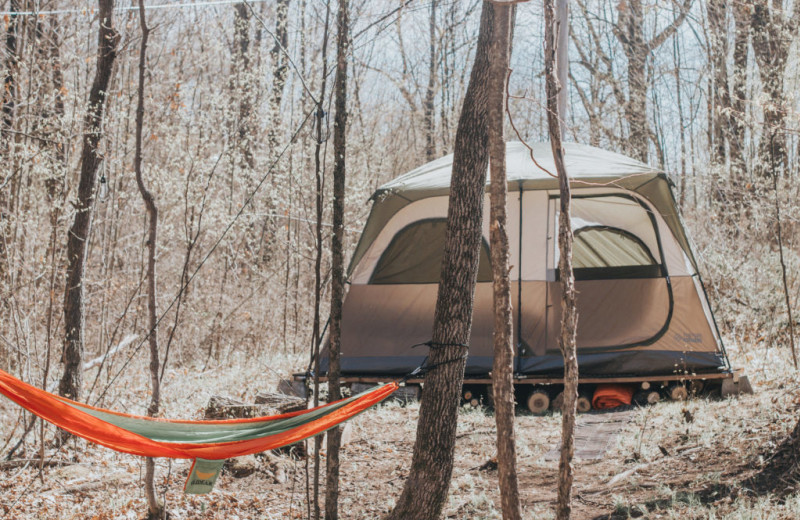 Glamping at Bobs Lake Cottages.