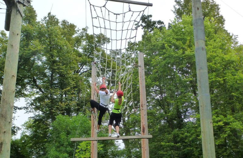 Adventure ropes near Spicer Green Lake Resort.