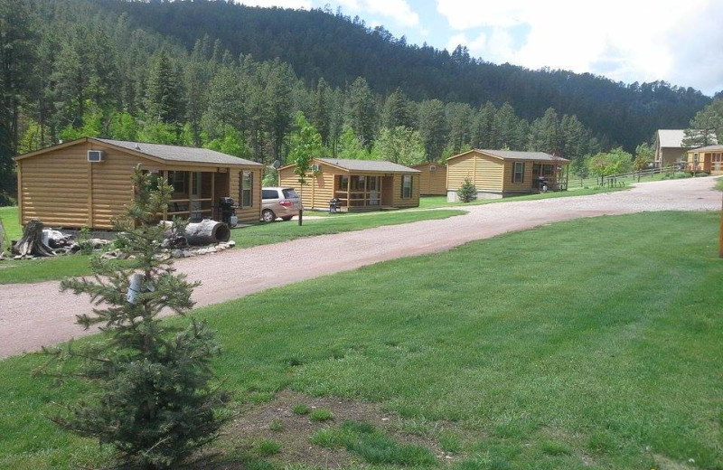 Cabin exterior at American Pines Cabins.