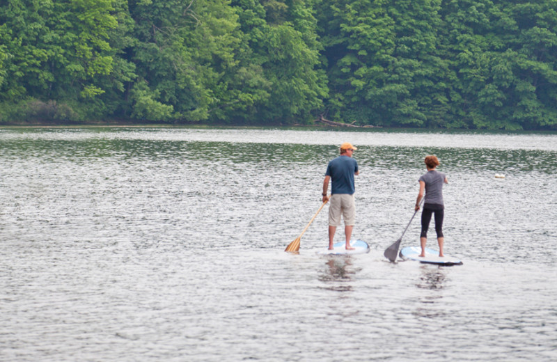 Paddle boards at Canyon Ranch in Lenox.