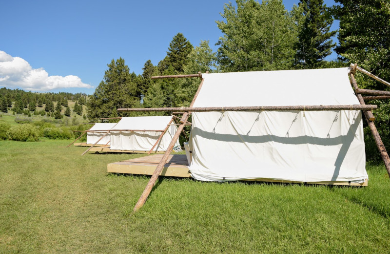 Glamping at Hardscrabble Ranch.