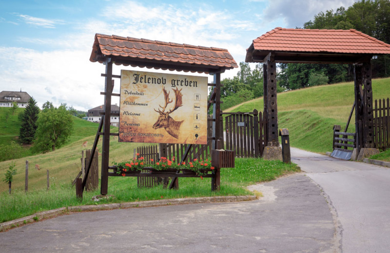 Deer park at Glamping Olimia Adria Village.